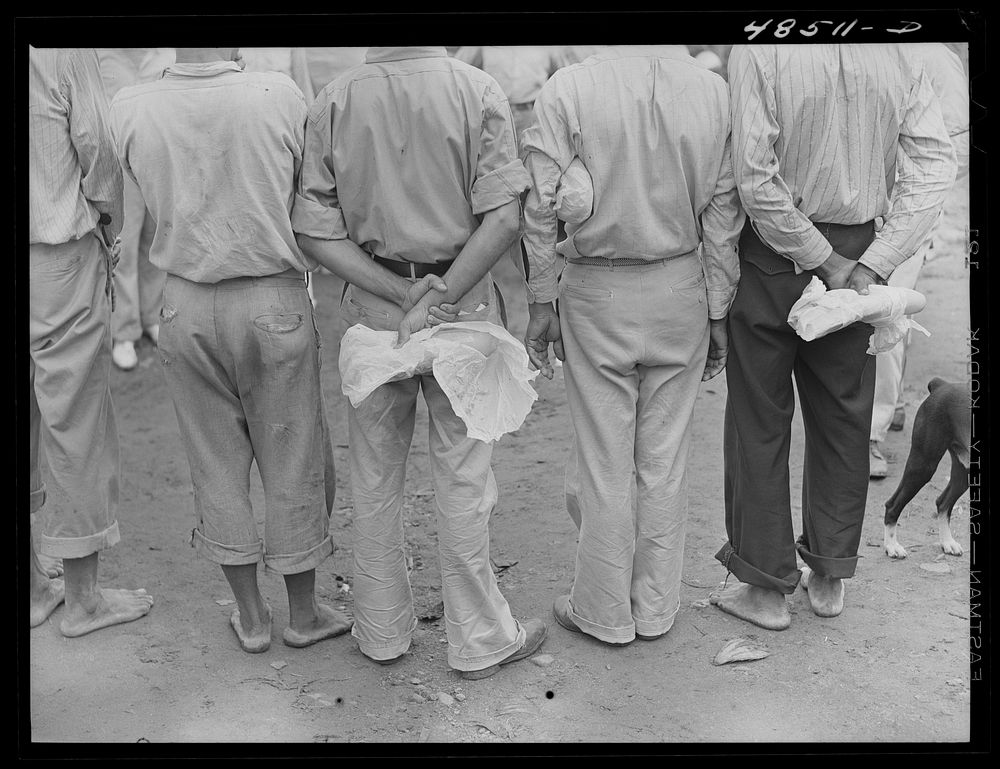 Yabucoa, Puerto Rico (vicinity). Sugar cane workers on strike. The loaf of bread each one is holding is their lunch. Sourced…