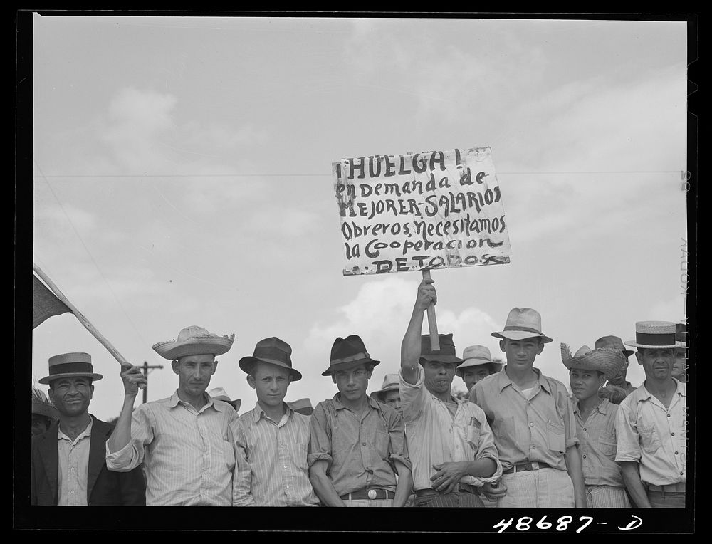 Yabucoa, Puerto Rico. Sugar strikers picketing a sugar plantation. Sourced from the Library of Congress.