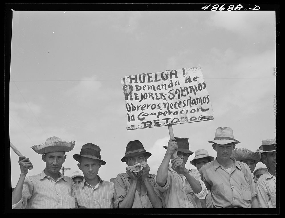 Yabucoa, Puerto Rico. Sugar strikers picketing a sugar plantation. Sourced from the Library of Congress.