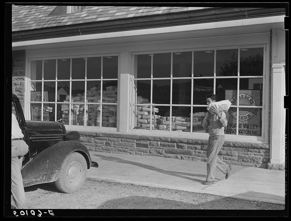 Roofing materials and flour in window of community store. Tygart Valley project, West Virginia. Sourced from the Library of…