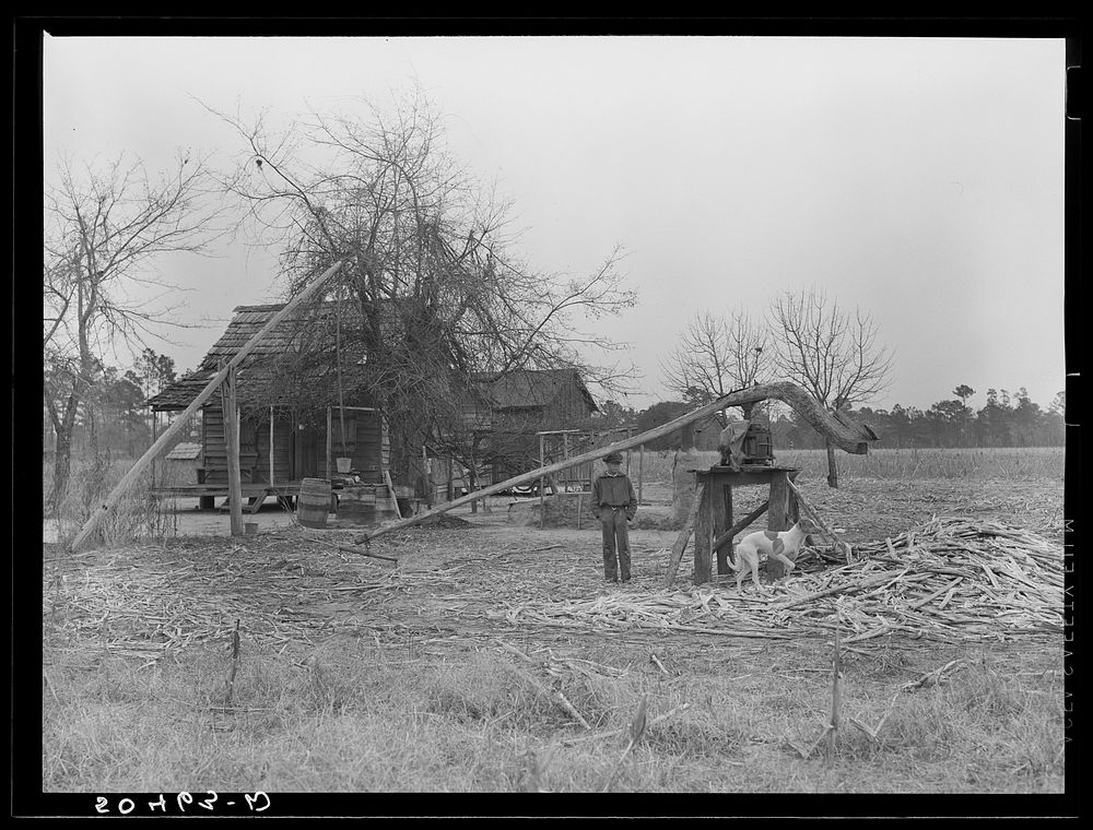 Home of Indian family (brass ankles, mixed breed) near Summerville, South Carolina, with sorghum cane grinder in foreground.…