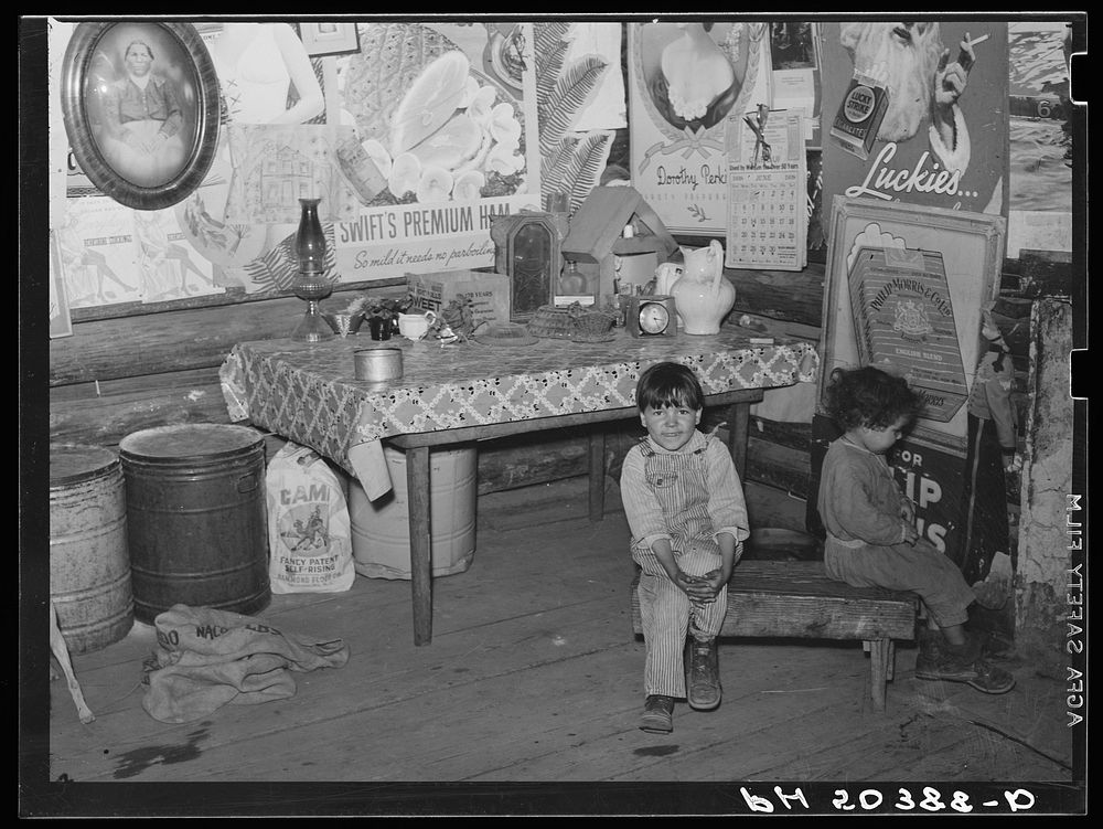 [Untitled photo, possibly related to: Home of Indians (mixed breed) who have not yet been resettled on Pembroke Farms.…