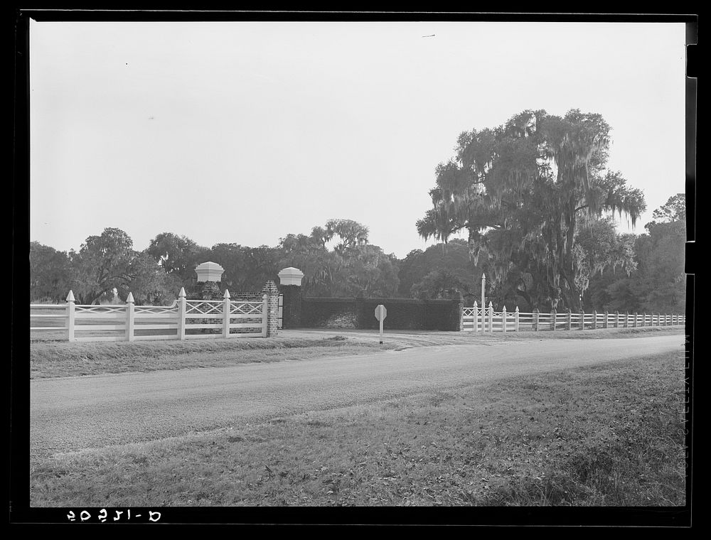 [Untitled photo, possibly related to: Typical Florida road and country near Winter Haven]. Sourced from the Library of…