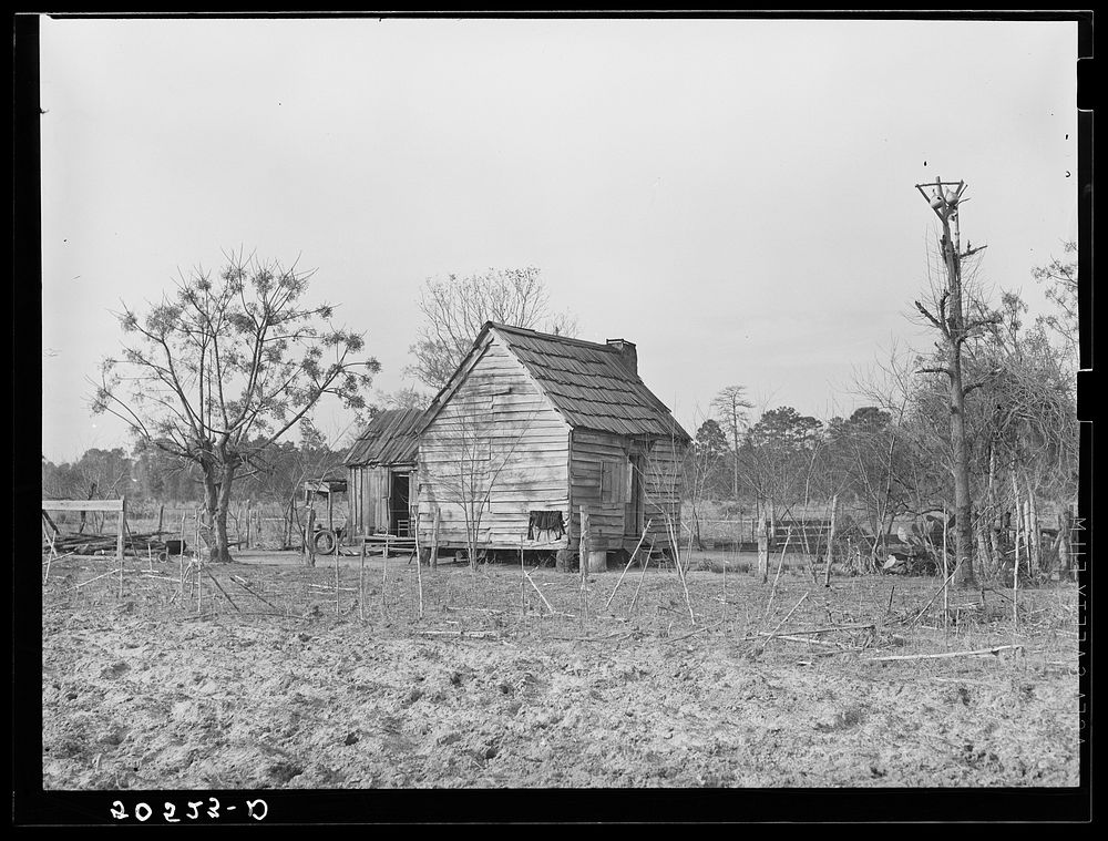  home near Beaufort, South Carolina. Sourced from the Library of Congress.