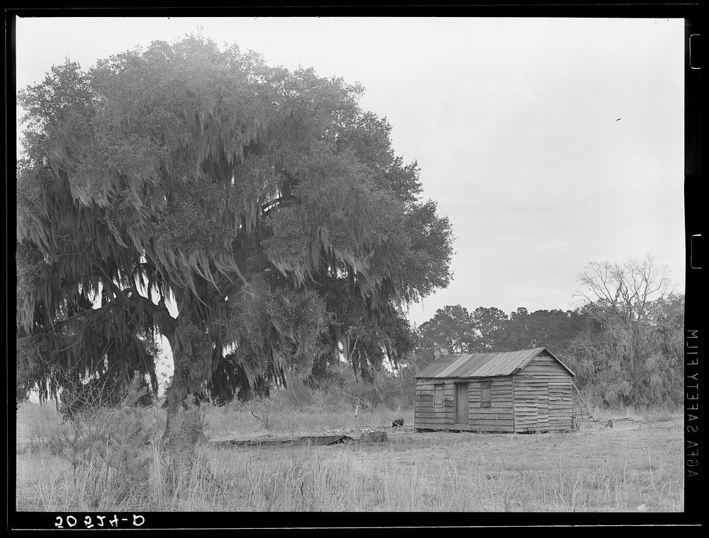  home near Summerville, South Carolina. Sourced from the Library of Congress.