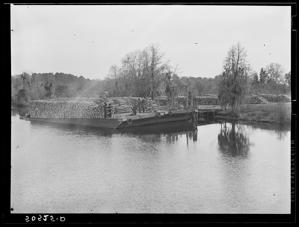 [Untitled photo, possibly related to: Logs on river barge near sawmill. Ashepoo, South Carolina]. Sourced from the Library…