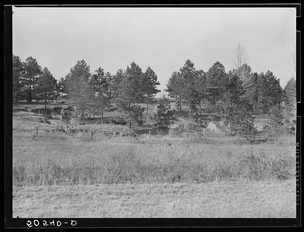 Eroded, gullied land on Monticello Road near Columbia, South Carolina. Sourced from the Library of Congress.