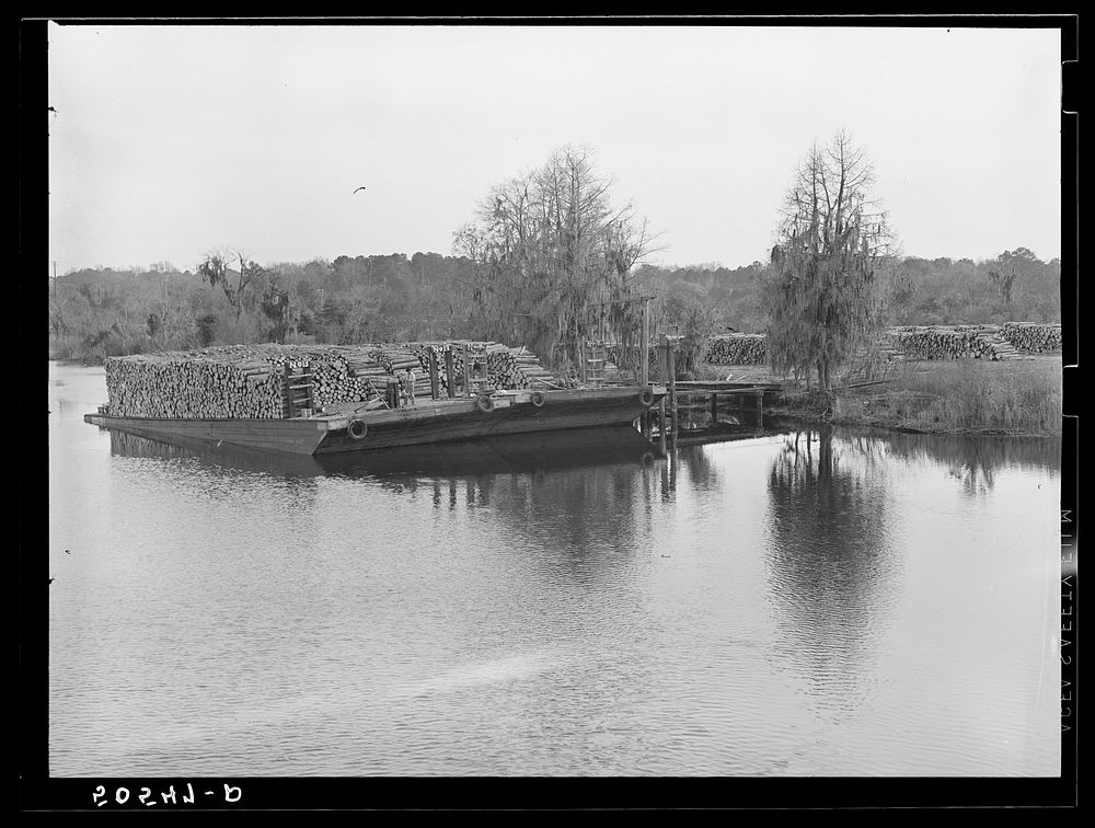 Logs on river barge near sawmill. Ashepoo, South Carolina. Sourced from the Library of Congress.