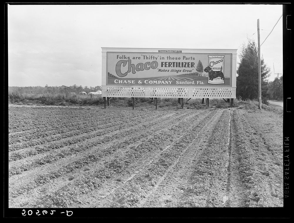 Celery beds and highway signboard. Sanford, Florida. Sourced from the Library of Congress.