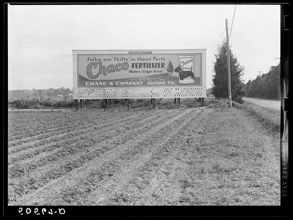 [Untitled photo, possibly related to: Celery beds and highway signboard. Sanford, Florida]. Sourced from the Library of…