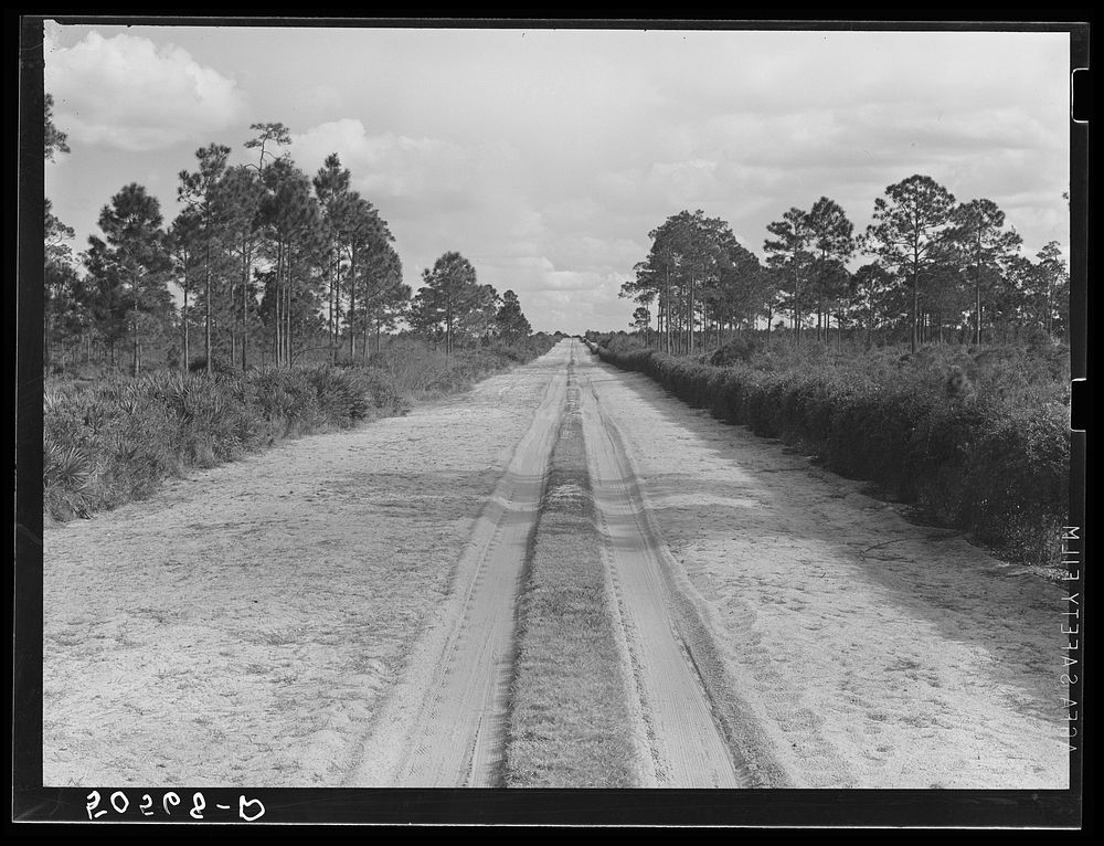 Typical Florida road and country near Winter Haven. Sourced from the Library of Congress.