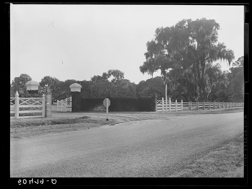 [Untitled photo, possibly related to: Typical Florida country near Moore Haven]. Sourced from the Library of Congress.
