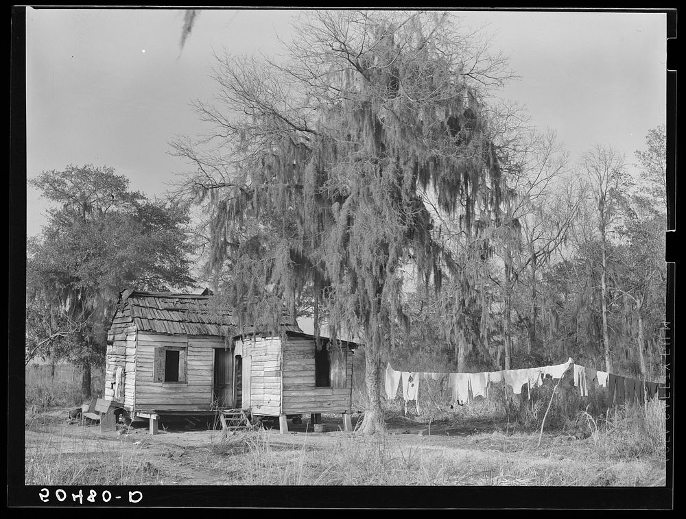  shack near Beaufort, South Carolina. Negro living there is a bricklayer. Sourced from the Library of Congress.