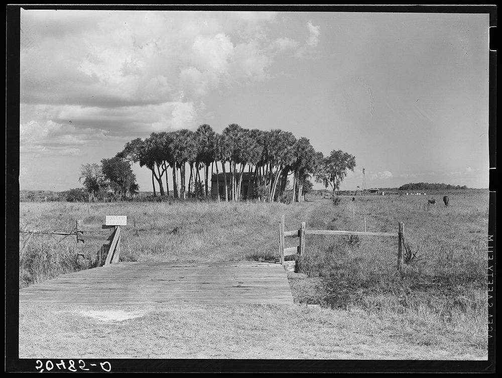 Typical Florida country near Moore Haven. Sourced from the Library of Congress.