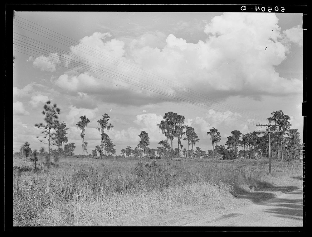 Typical Florida county near Winter Haven. Sourced from the Library of Congress.