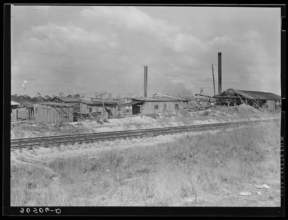 [Untitled photo, possibly related to: Small sawmill, Childs, Florida. Owned by "wealthy" man, Mr. Warren, in Fort Meade…