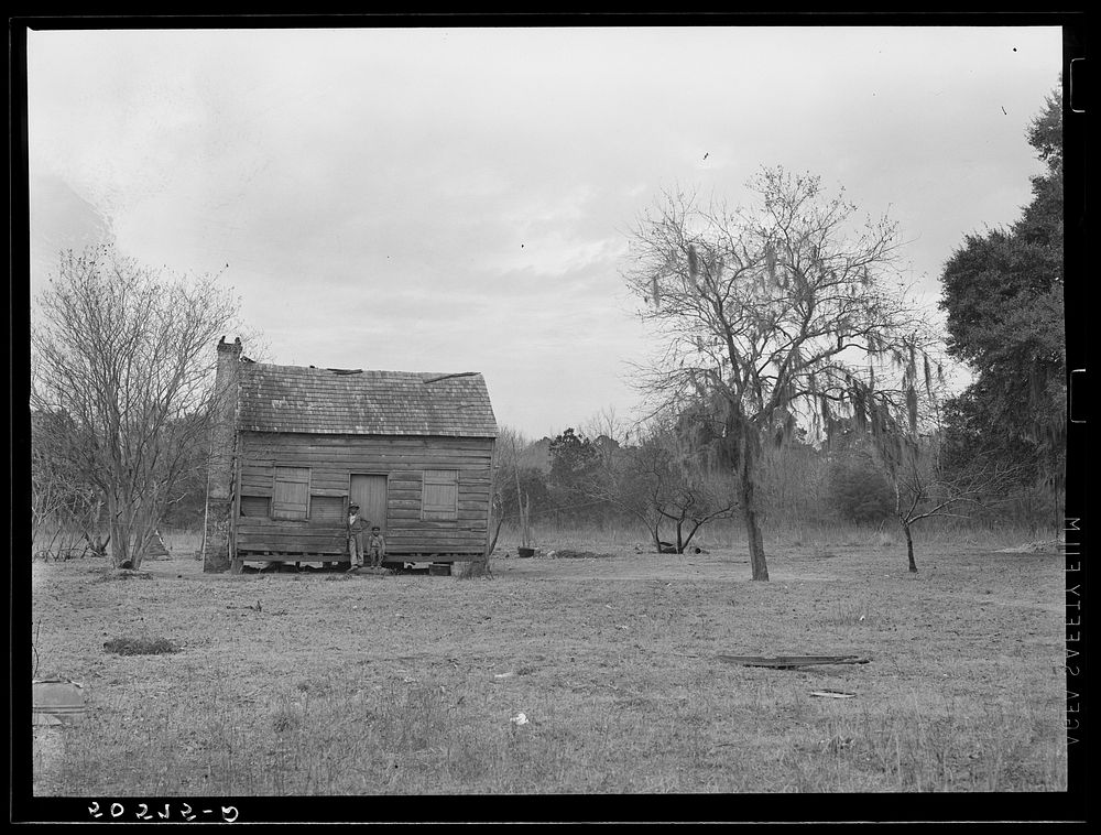  shack near Summerville, South Carolina. Sourced from the Library of Congress.