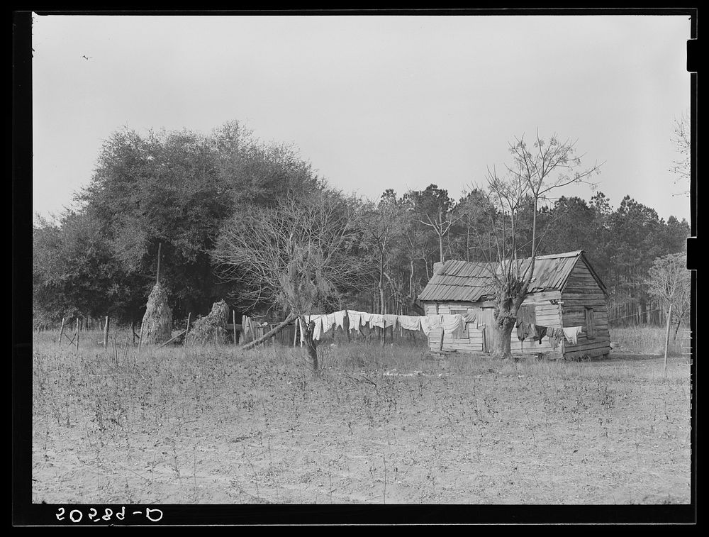 Home of  family near Charleston, South Carolina. Sourced from the Library of Congress.