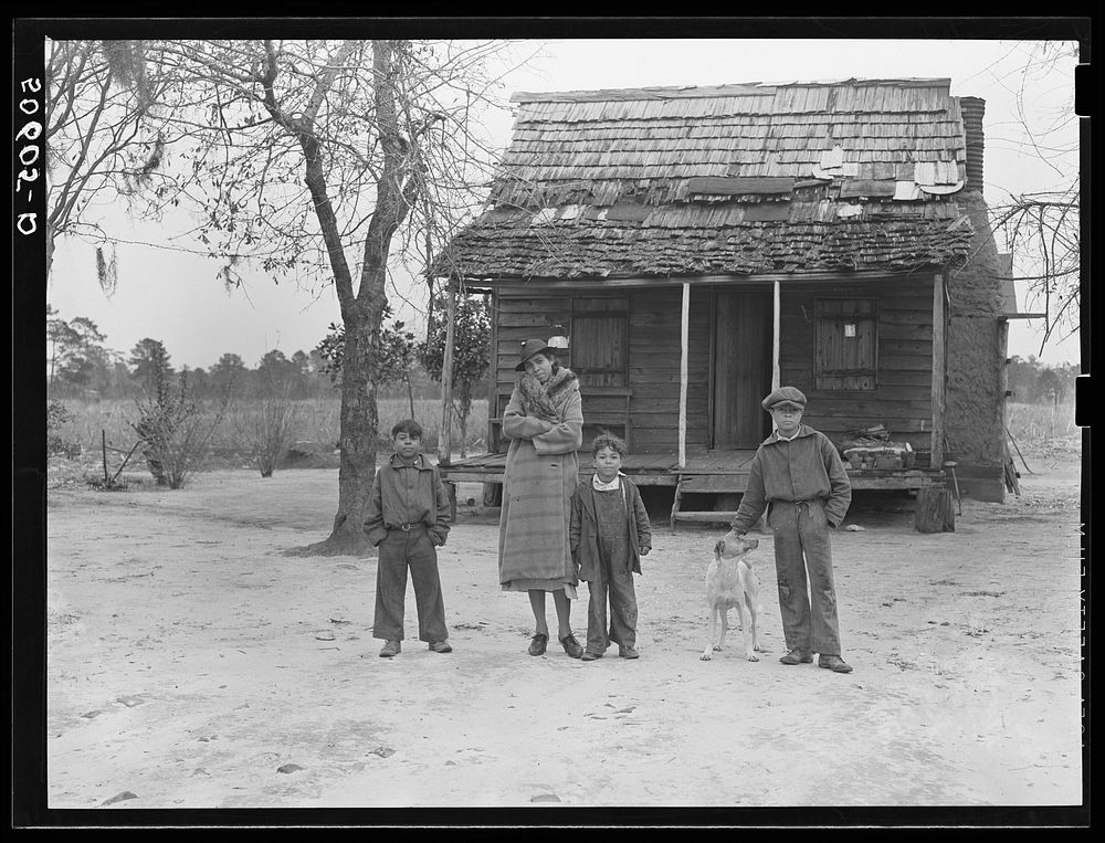 Indian (mixed breed--"brass ankle") family near Summerville, South Carolina. Sourced from the Library of Congress.