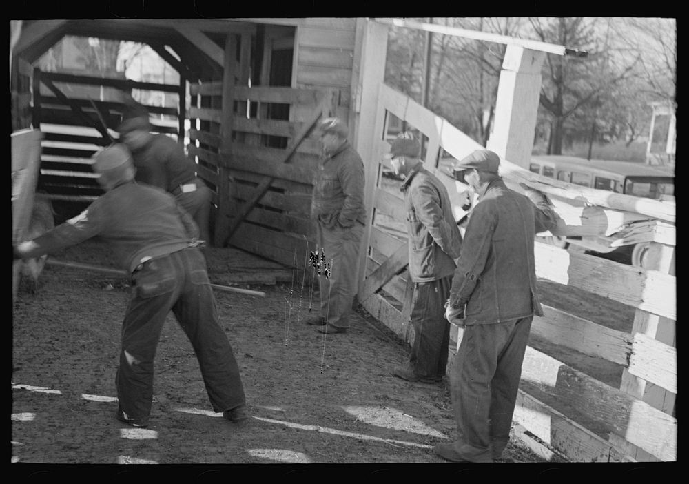 [Untitled photo, possibly related to: Stockyard attendants herding hogs into pens at stockyards, Aledo, Illinois] by Russell…