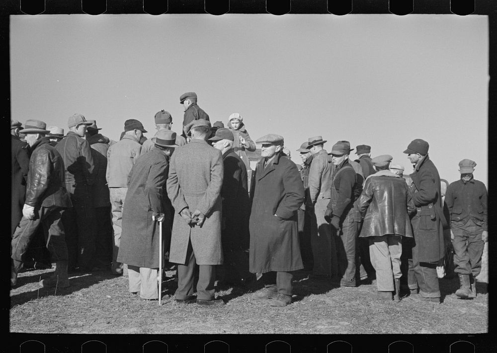 [Untitled photo, possibly related to: Farmers on front of lunch shed, country auction, Aledo, Illinois] by Russell Lee