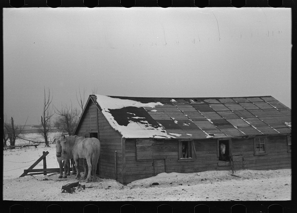 Barn on Joe Beving farm near Dickens, Iowa. Note condition of roof. Beving rents this farm on a cropshare basis by Russell…