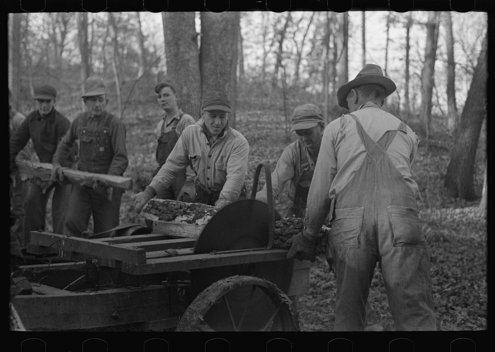 Farmers sawing wood for fuel in timber near Aledo, Illinois by Russell Lee