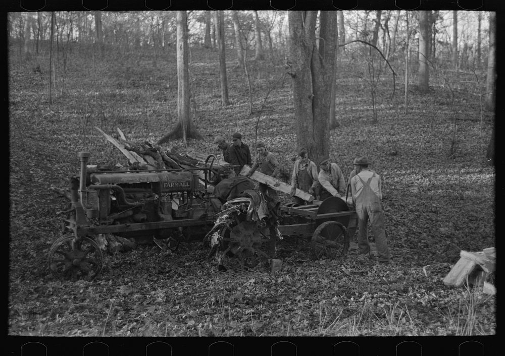 [Untitled photo, possibly related to: Farmers sawing wood for fuel in timber near Aledo, Illinois] by Russell Lee
