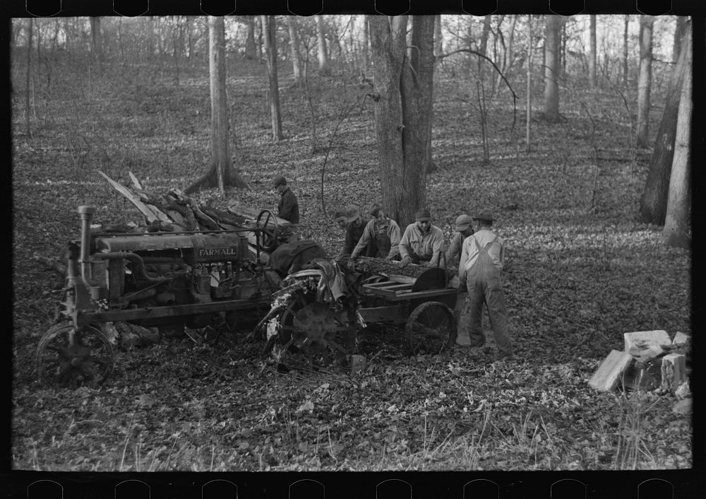 [Untitled photo, possibly related to: Farmers sawing wood for fuel in timber near Aledo, Illinois] by Russell Lee