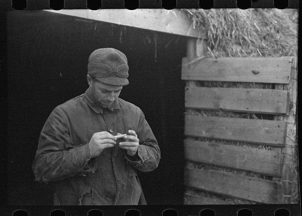 [Untitled photo, possibly related to: Rex Inman, farmer, near Estherville, Iowa, rolling a cigarette. Very few farmers smoke…