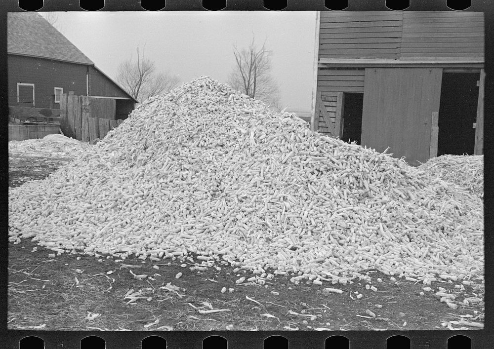 Pile of corncobs on farm in Emmet County, Iowa by Russell Lee