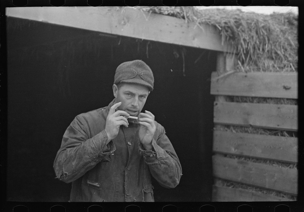 Rex Inman, farmer, near Estherville, Iowa, rolling a cigarette. Very few farmers smoke "tailor mades" by Russell Lee