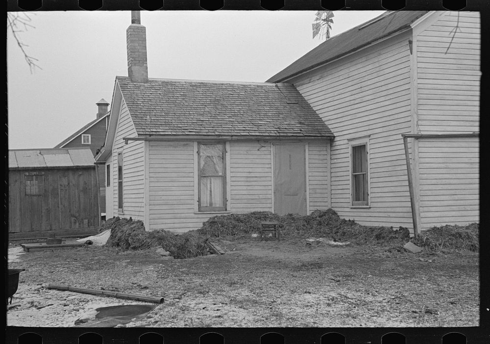 Part of house on Russell Natterstad farm showing necessity for banking foundation with manure. The cellarway is also filled…
