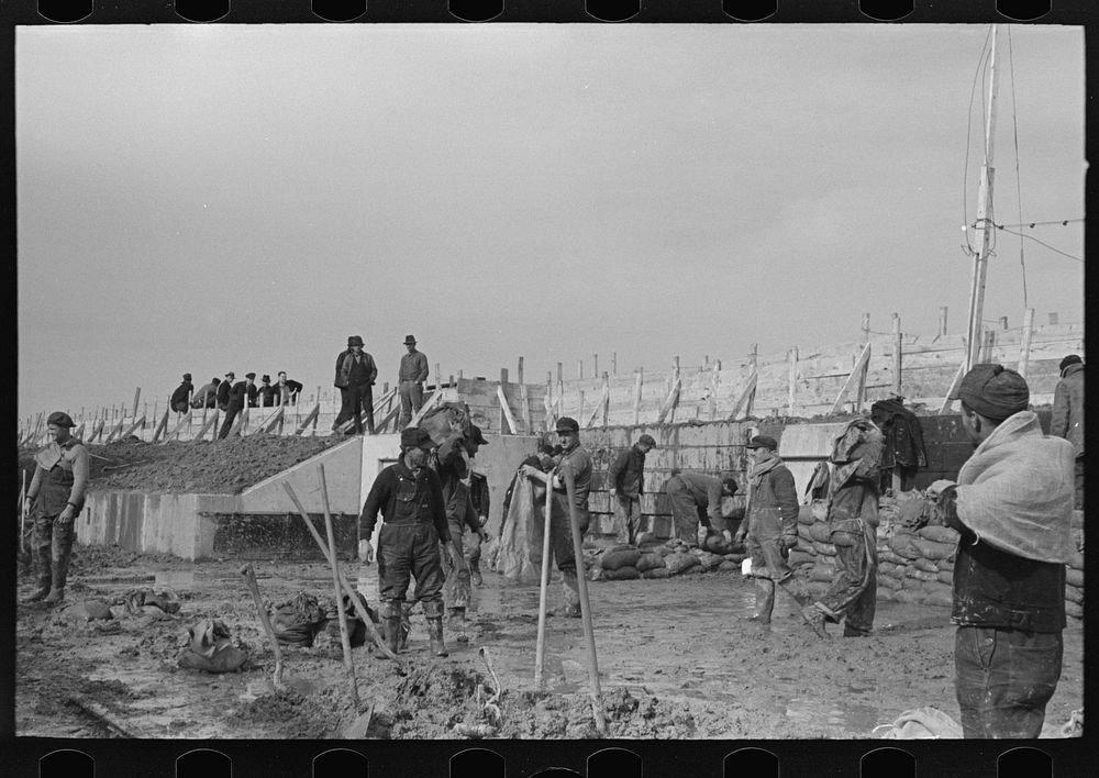 [Untitled photo, possibly related to: Working on the levee at Bird's Point, Missouri during the height of the flood] by…