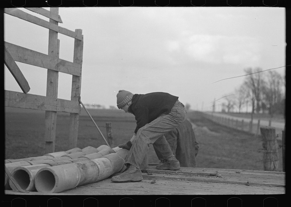 [Untitled photo, possibly related to: Late afternoon. One of Tip Estes' sons loading tiles on a wagon, Fowler, Indiana] by…