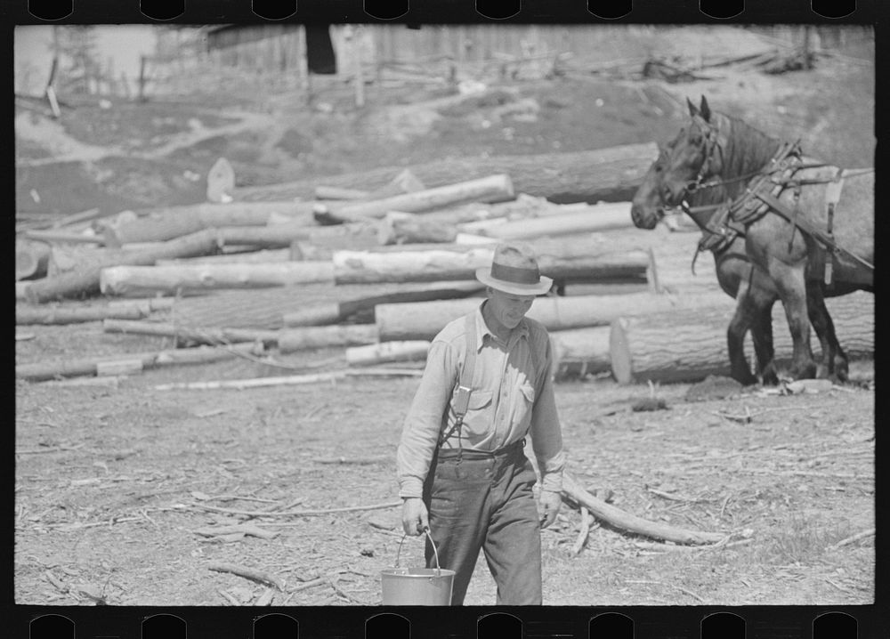 [Untitled photo, possibly related to: Lumberjack near Little Fork, Minnesota] by Russell Lee