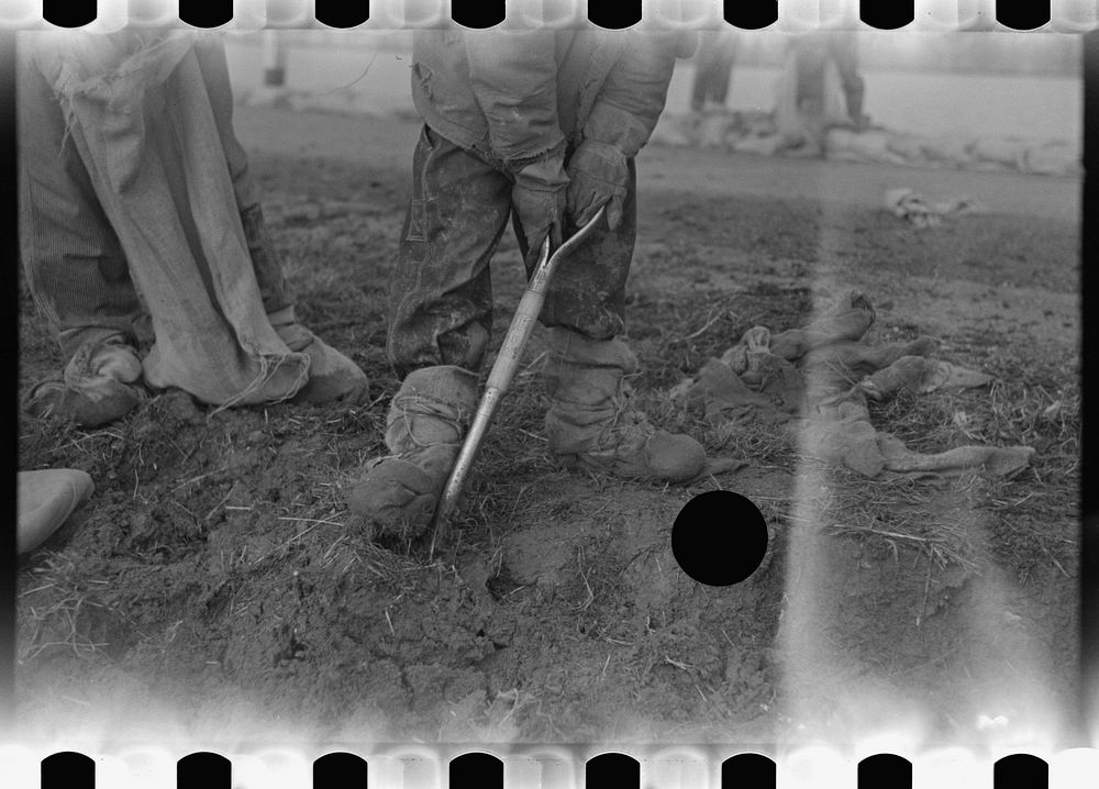 [Untitled photo, possibly related to: Levee worker during the flood, on a raw day with a thirty-mile wind. These men are…