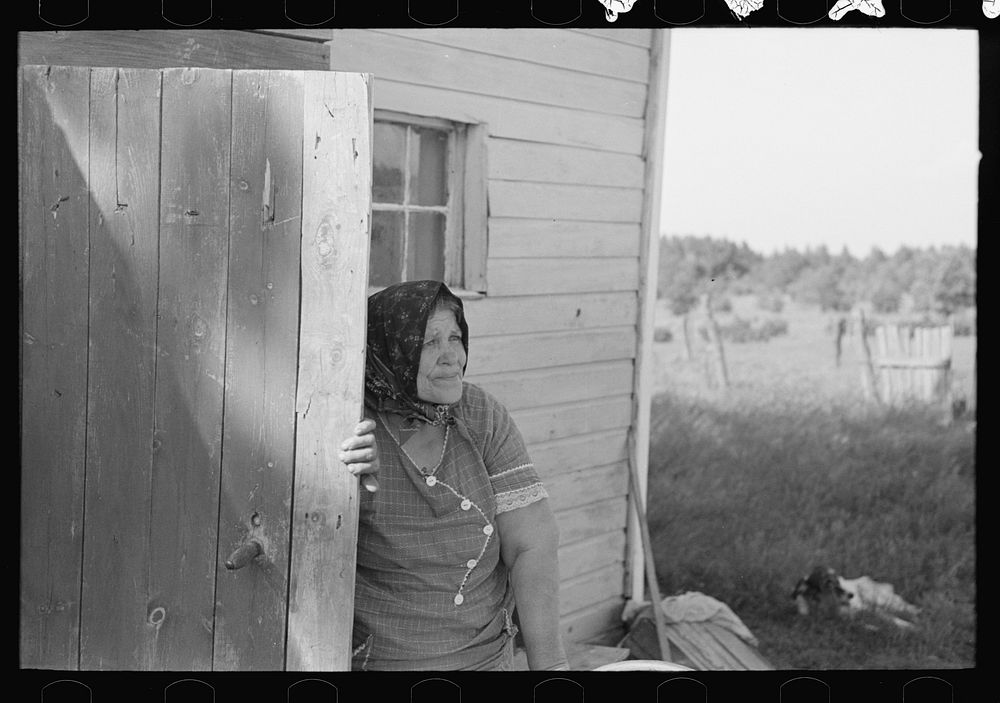 [Untitled photo, possibly related to: Wife of Bohemian farmer near Black River Falls, Wisconsin] by Russell Lee