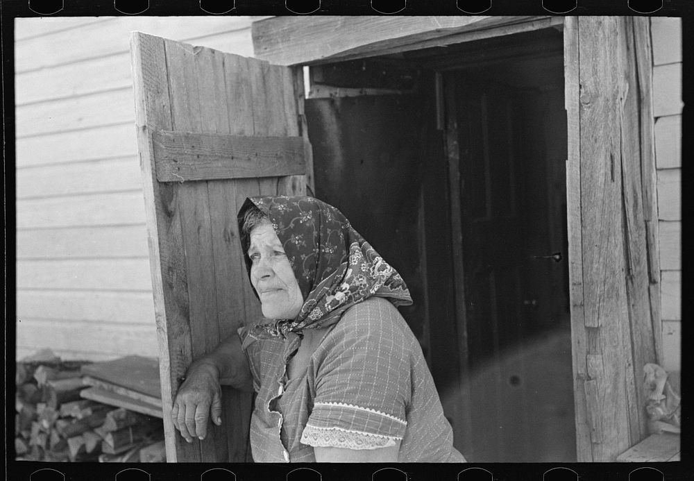 Wife of Bohemian farmer near Black River Falls, Wisconsin by Russell Lee