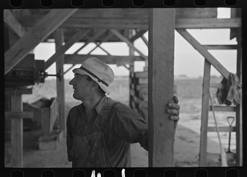 [Untitled photo, possibly related to: Workers at pea vinery talking, near Sun Prairie, Wisconsin] by Russell Lee