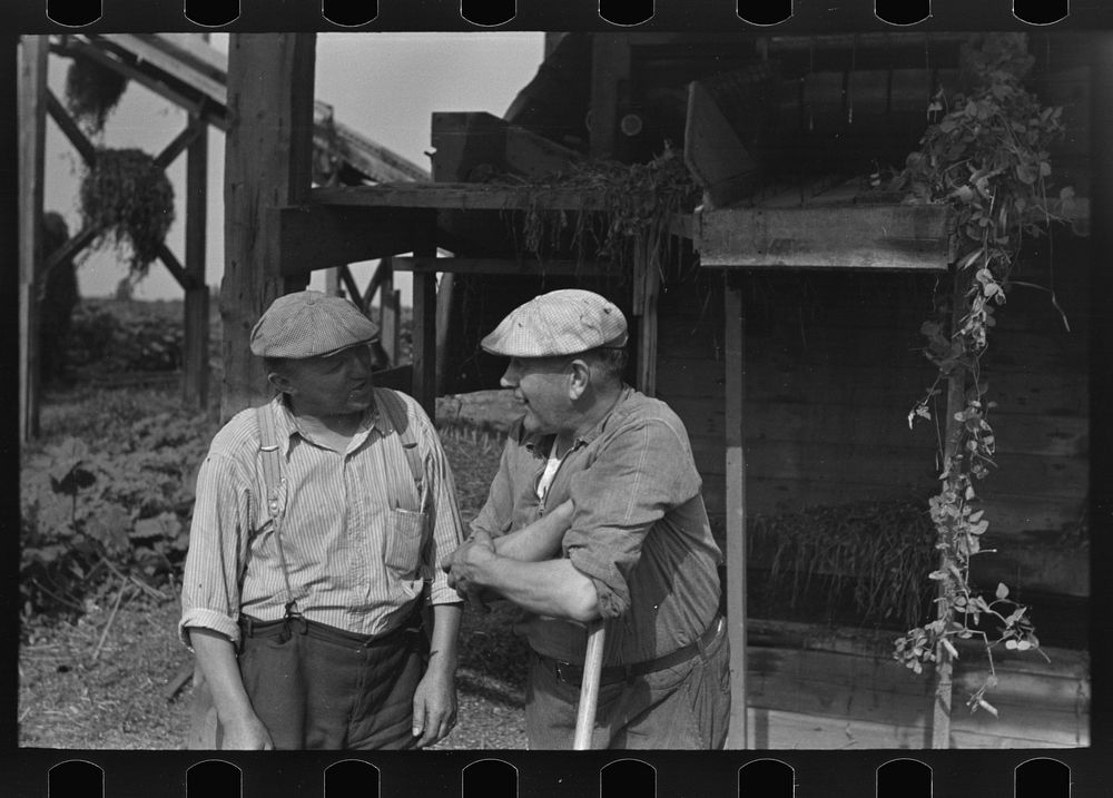 Workers at pea vinery talking, near Sun Prairie, Wisconsin by Russell Lee