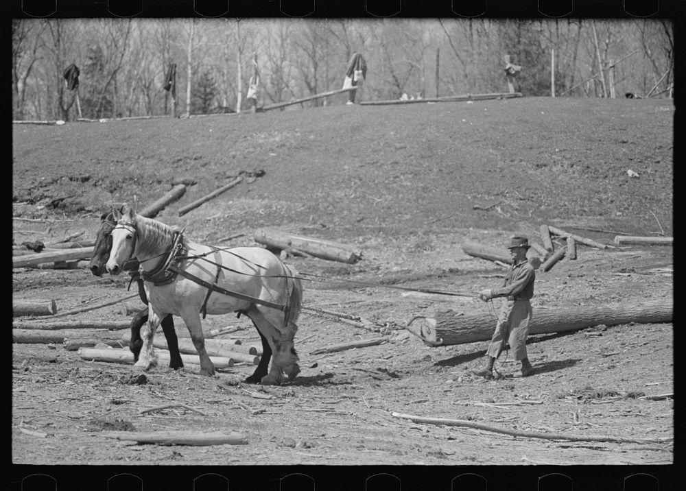 Lumberjack near Little Fork, Minnesota by Russell Lee