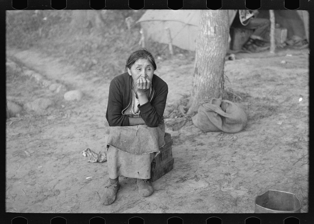 Indian woman in camp near Little Fork, Minnesota by Russell Lee