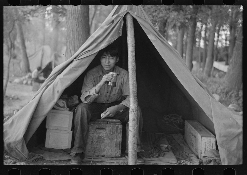 Indian boy in blueberry pickers' camp near Little Fork, Minnesota by Russell Lee