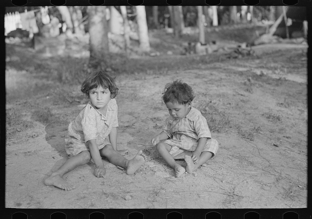 Indian children in blueberry camp near Little Fork, Minnesota by Russell Lee