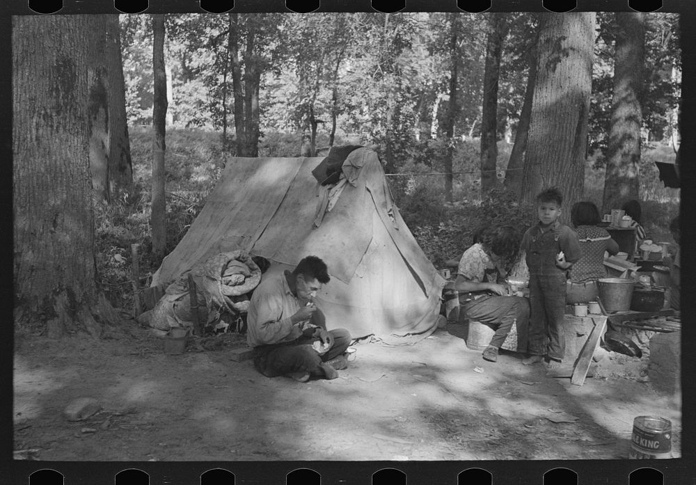 [Untitled photo, possibly related to: Indian family, blueberry pickers, near Little Fork, Minnesota] by Russell Lee