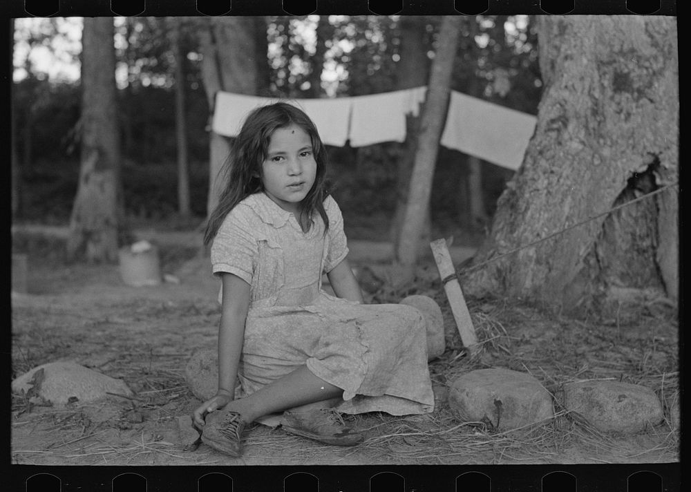Indian girl, daughter of blueberry picker, near Little Fork, Minnesota by Russell Lee