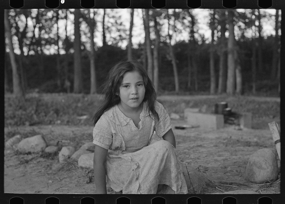 [Untitled photo, possibly related to: Indian girl, daughter of blueberry picker, near Little Fork, Minnesota] by Russell Lee