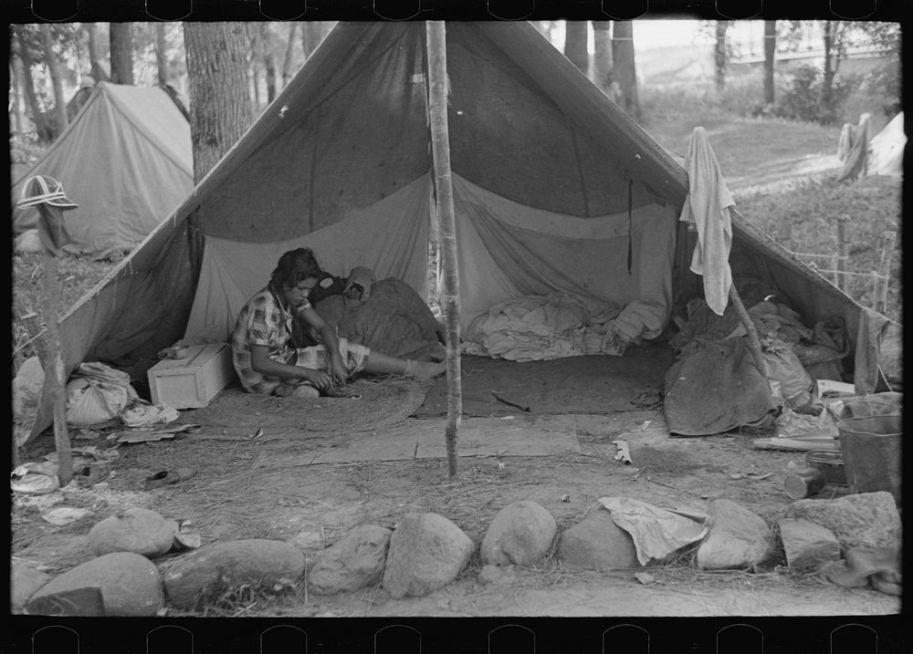 Interior of blueberry pickers' tent, near Little Fork, Minnesota by Russell Lee