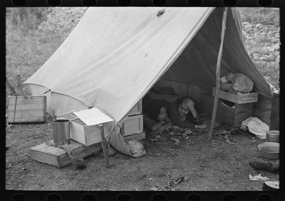 Indian tent in blueberry pickers' camp near Little Fork, Minnesota by Russell Lee